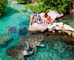 Tour Xcaret - Tortugas marinas